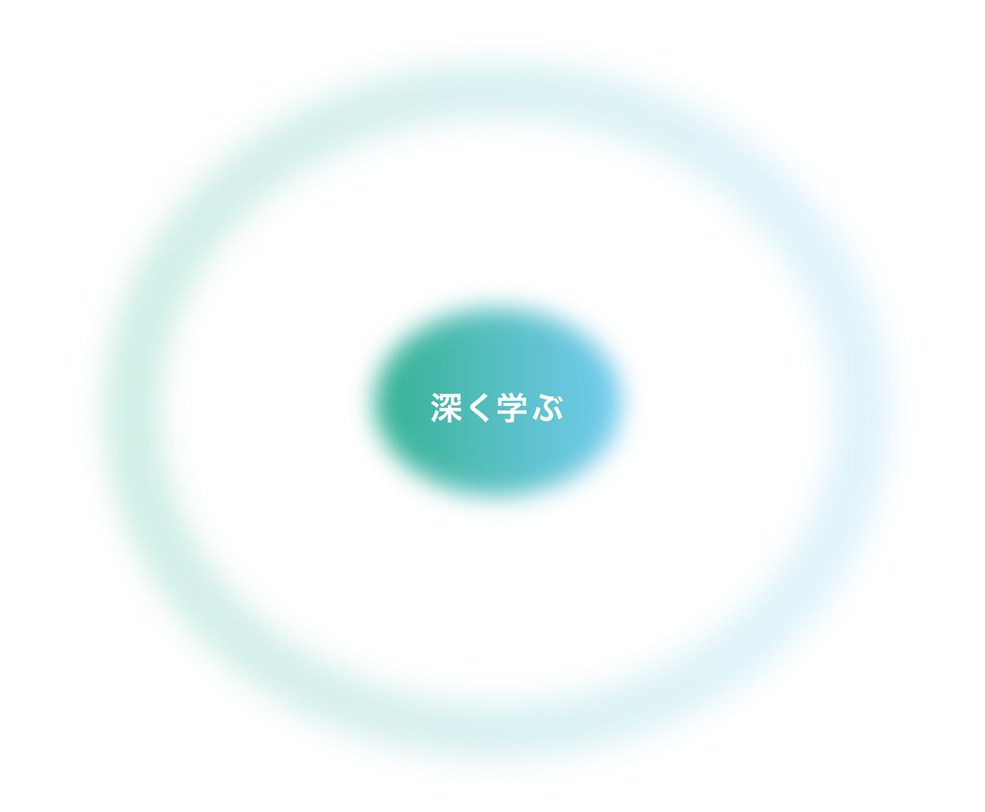 本学カリキュラム学修のサイクル