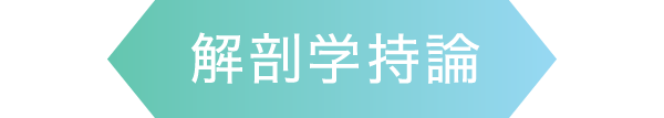 解剖学持論