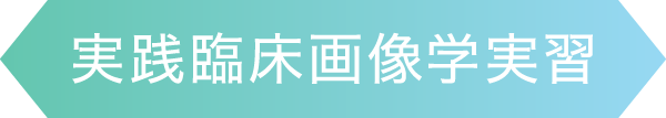 実践臨床画像学実習