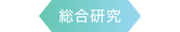 総合研究