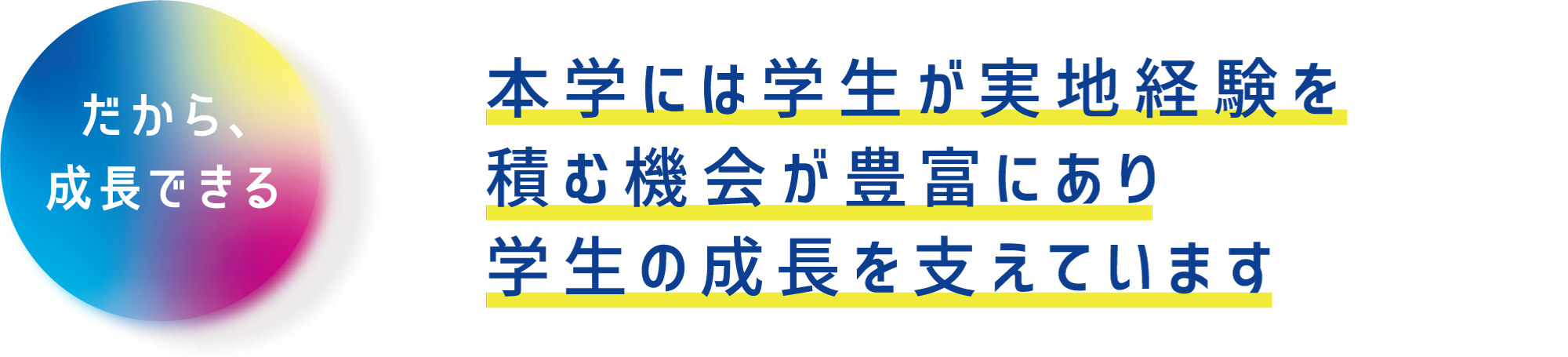 本学には学生が実地経験を積む機会が豊富にあり学生の成長を支えています